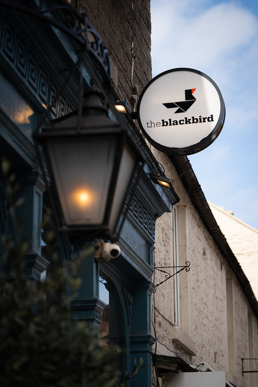 Glow-up for The Blackbird