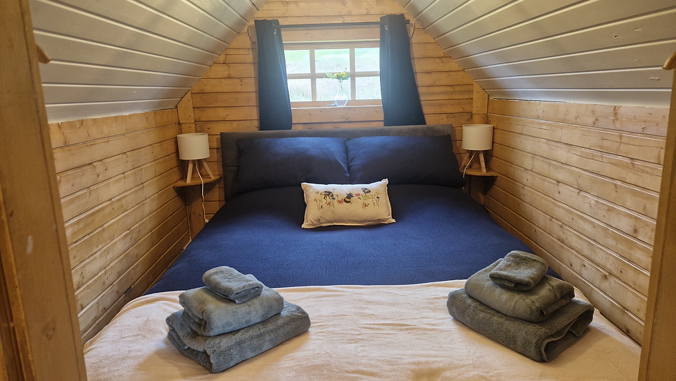 Getting ready for first guests