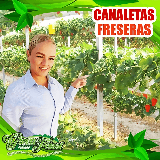 .:Canaletas freseras:. Producción y Venta en México
