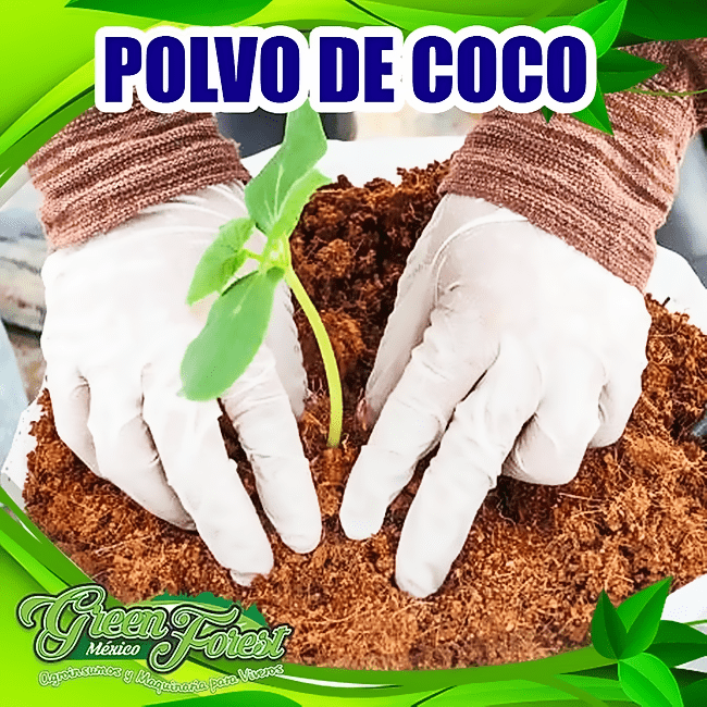 .Polvo de Coco. Sustrato 100 natural y ecológico