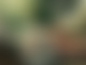 Understanding the Basics of ESG Investing