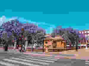 Plaza de la Merced Picasso