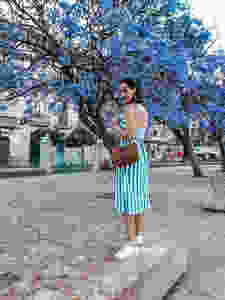 Plaza de la Merced Malaga Olivia Libi