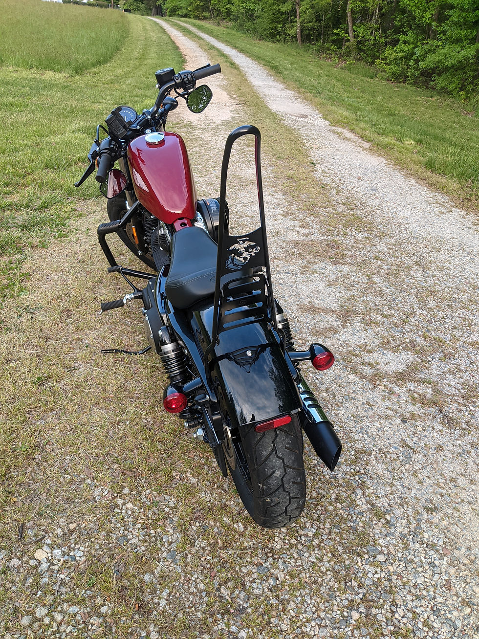 Thumbnail: Harley Dyna/FXR "Everything" Sissy Bar