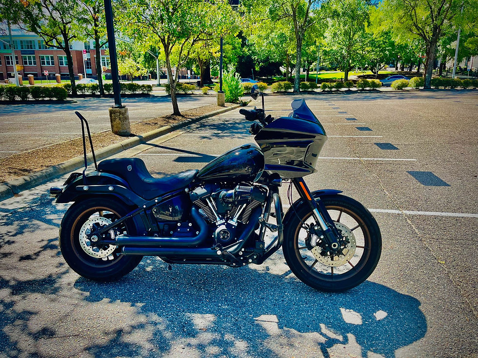 Thumbnail: Harley Softail "Full Nude" Sissy Bar