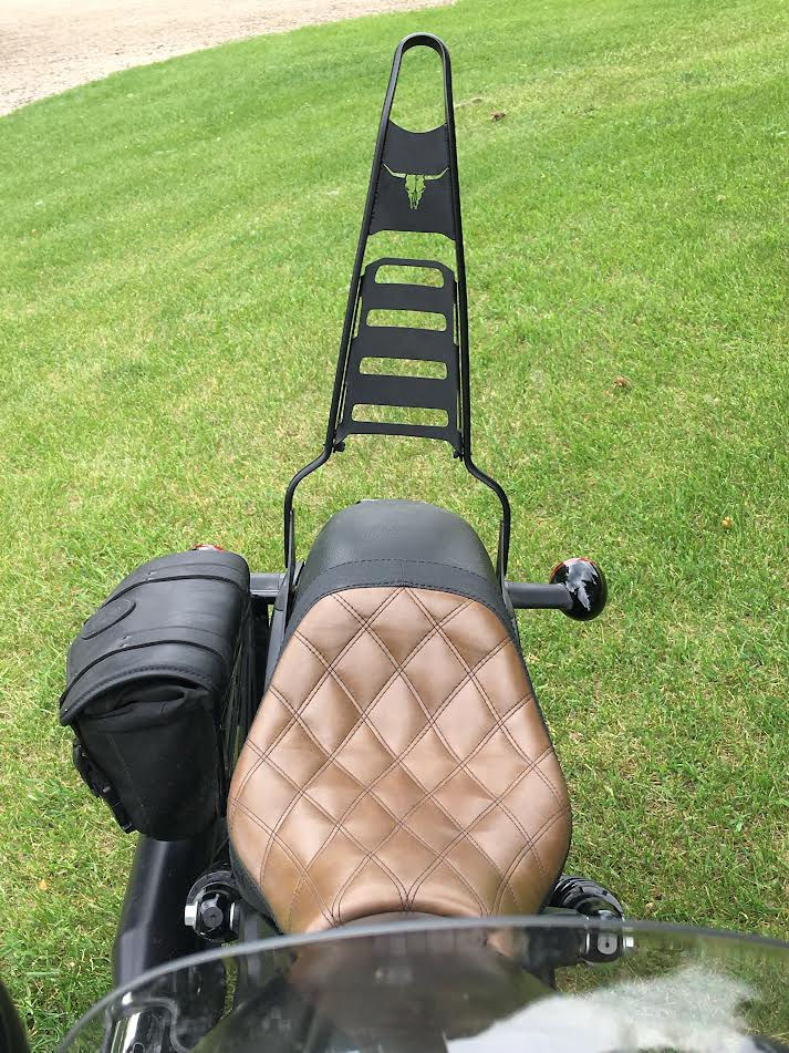 Thumbnail: Harley Dyna/FXR "Everything" Sissy Bar