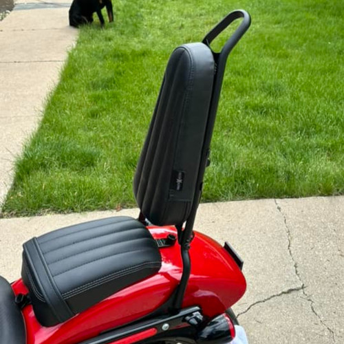 El Choppo Chopper Style Backrest Pad for Combustion Industries Sissy ...