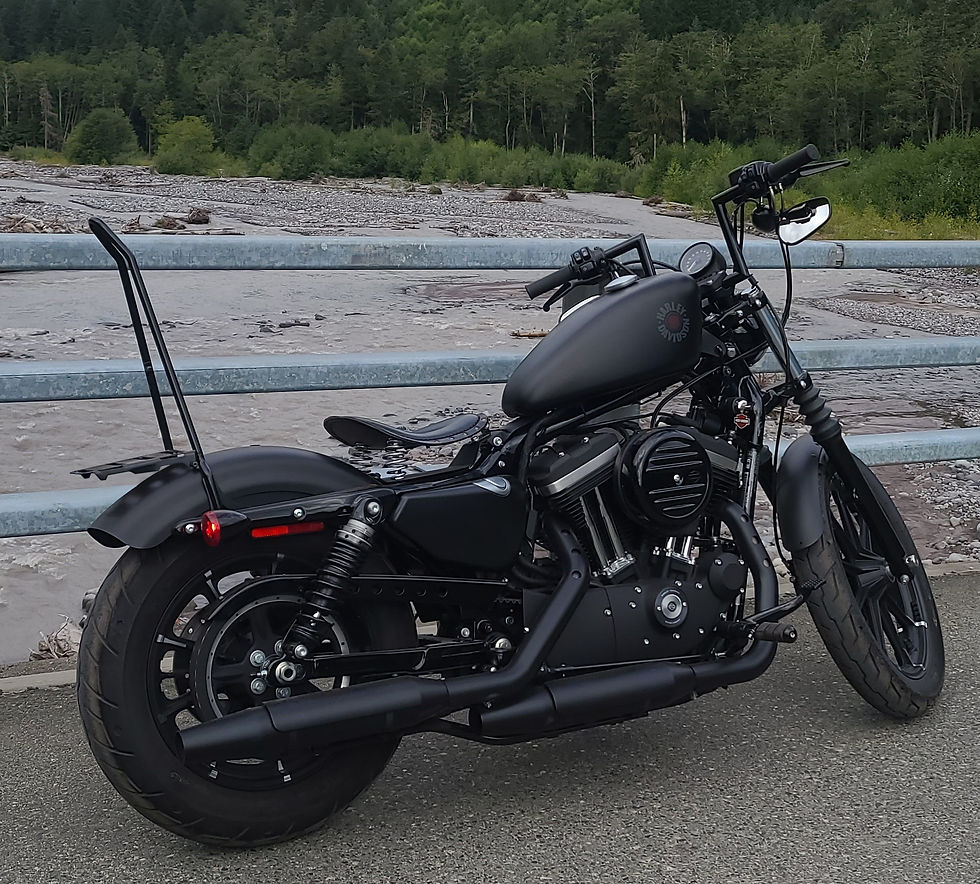 Thumbnail: Harley Softail/Sportster "Wanderlust" Sissy Bar
