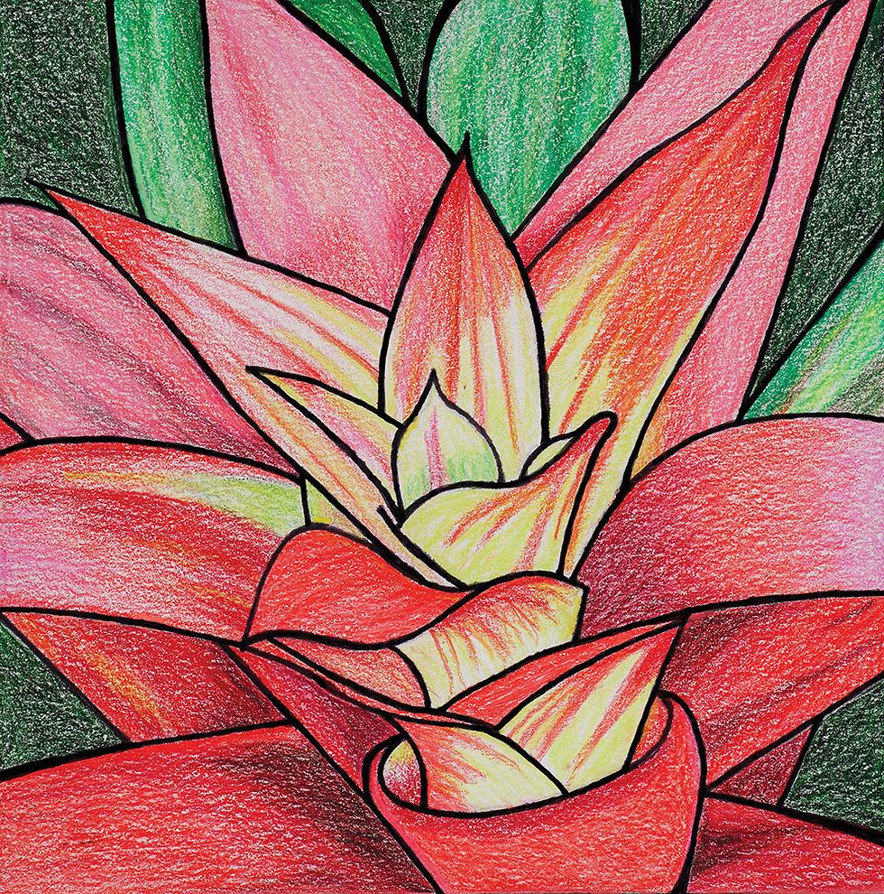 Bromeliad Floral Greeting Card by Greene Sun Art, 5x5 folded card with hand-drawn tropical bromeliad flower artwork
