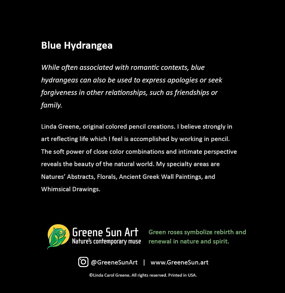 Back of Blue Hydrangea Floral Greeting Card showing symbolism of hydrangea flowers by Greene Sun Art
