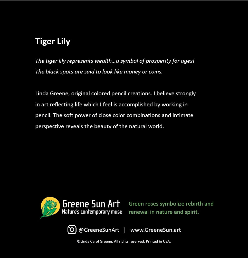 Back of Tiger Lily Floral Greeting Card showing symbolism of lilies by Greene Sun Art