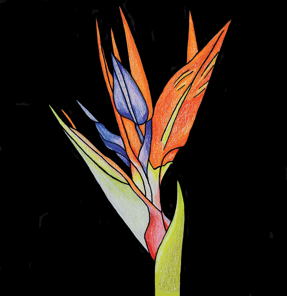 Paradise Floral Greeting Card by Greene Sun Art, 5x5 folded card with hand-drawn tropical flower artwork