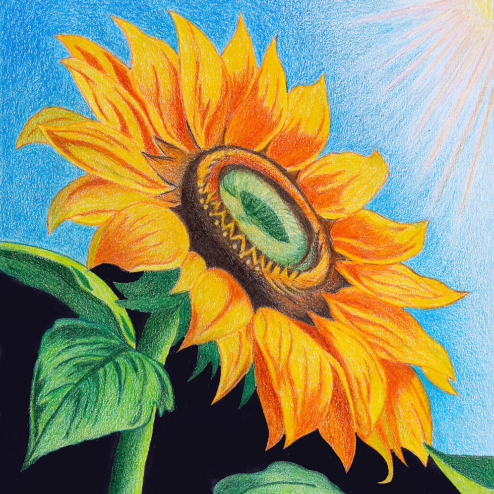 Sunflower Floral Art Coaster by Greene Sun Art, 4x4 MDF drink coaster with hand-drawn sunflower artwork