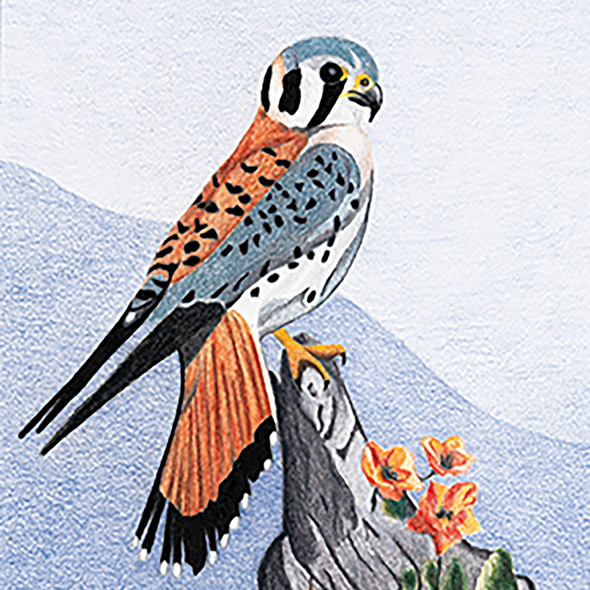 American Kestrel art tile featuring a perched kestrel in colored pencil artwork.