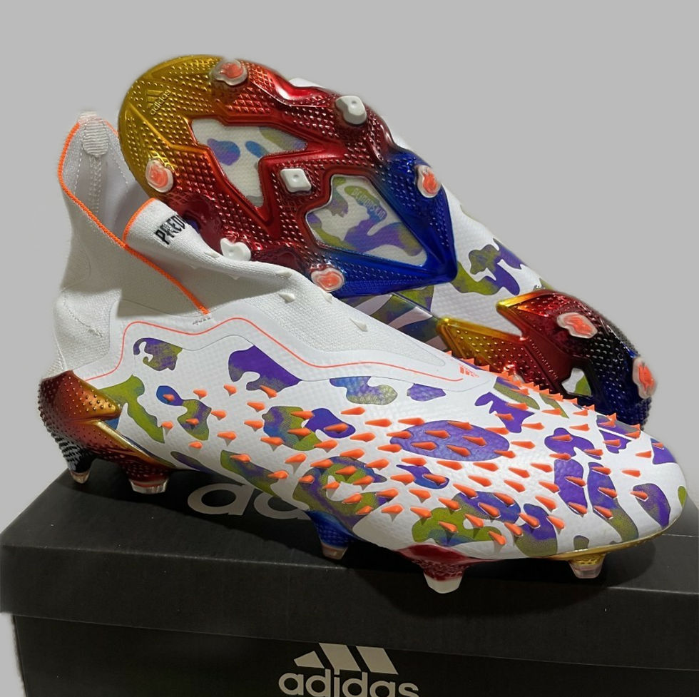 Фото футбольных бутс Adidas Predator Freak + Pogba FG в интернет магазин footgoal