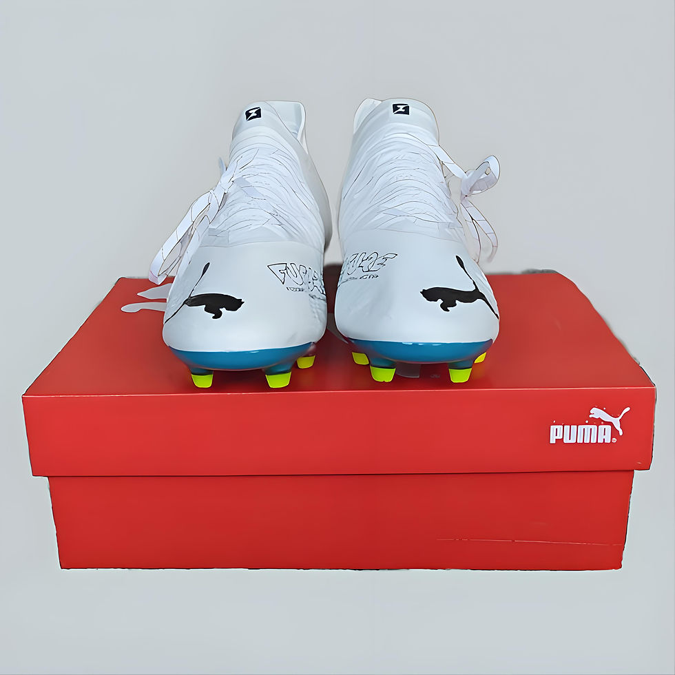 Прев'ю: Фото футбольных бутс Puma Future Z 1.3 FG White Colorful в интернет магазин footgoal
