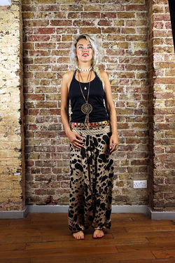 The Colourful Peacock Aladdin Pant