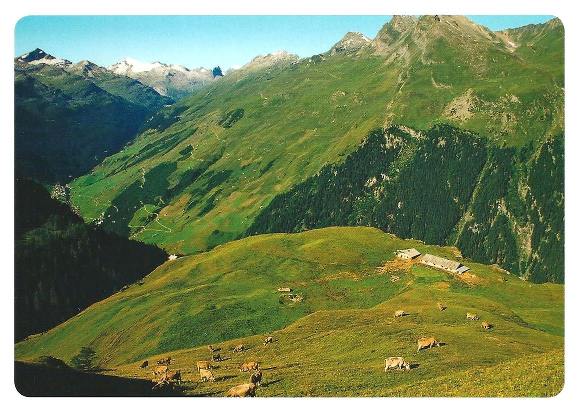 515 Kultur in Graubünden, zum Beispiel Alp Rischuna