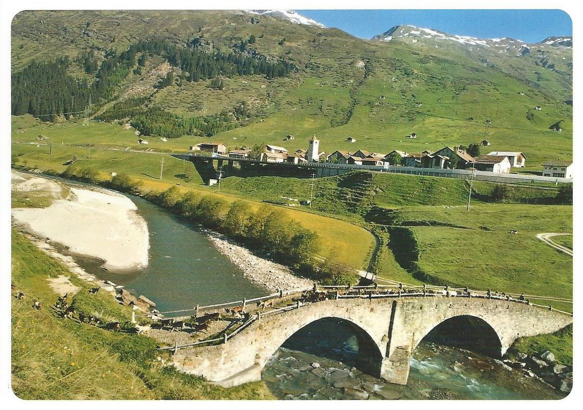 126 Kultur in Graubünden, zum Beispiel Hinterrhein mit zahlreichen Ziegen, die..