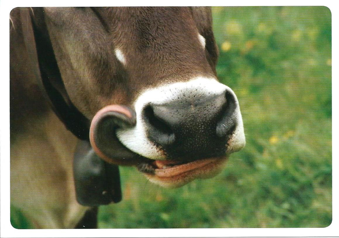 274 Geschmacksache