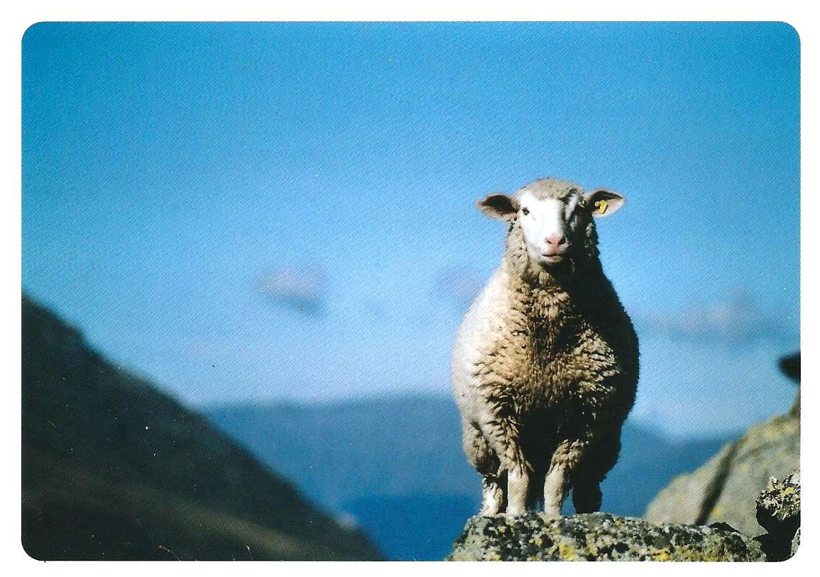 240 Auf'm Sprung ...