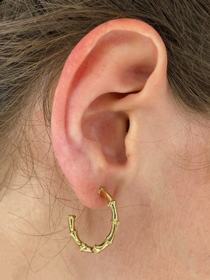 Thumbnail: Bamboo earrings