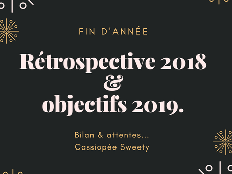 Rétrospective 2018 & Objectif 2019.