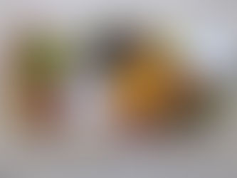 What You Need to Know About Fibre and Gut Health