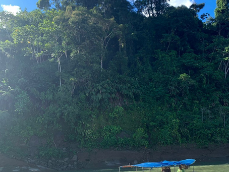 CEIBO LODGE ET RÉSERVE EL JAGUAR : IMMERSION EN AMAZONIE ÉQUATORIENNE