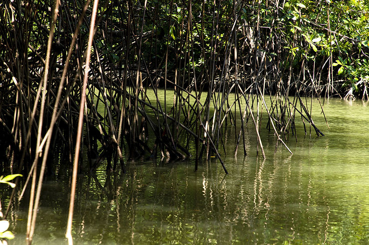 ©Tucanes Tours – TUCAYA COSTA RICA