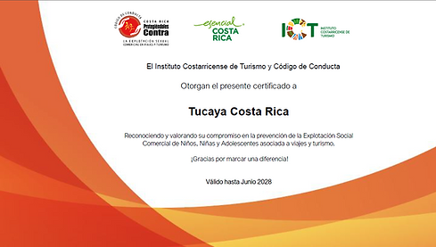 Captura de pantalla 2026-09-25 110057.png
