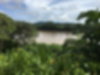 Vue sur le fleuve Napo depuis la réserve