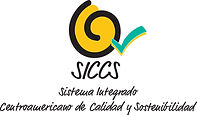 CST BASICO - SICCS Azul.jpg