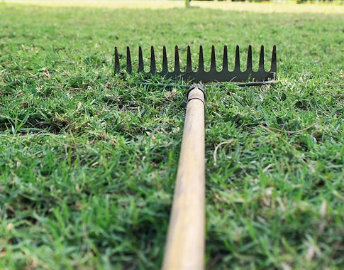 Garden Rake on Grass_edited.jpg