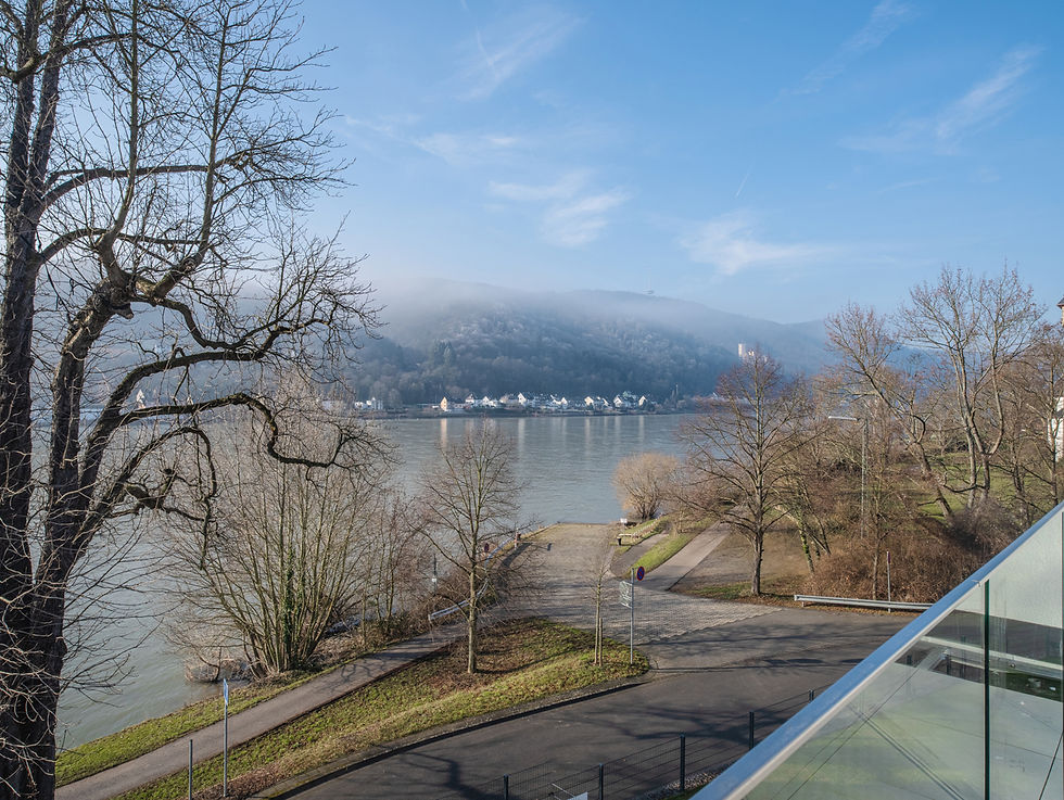 Leben im Penthouse mit Rheinblick!