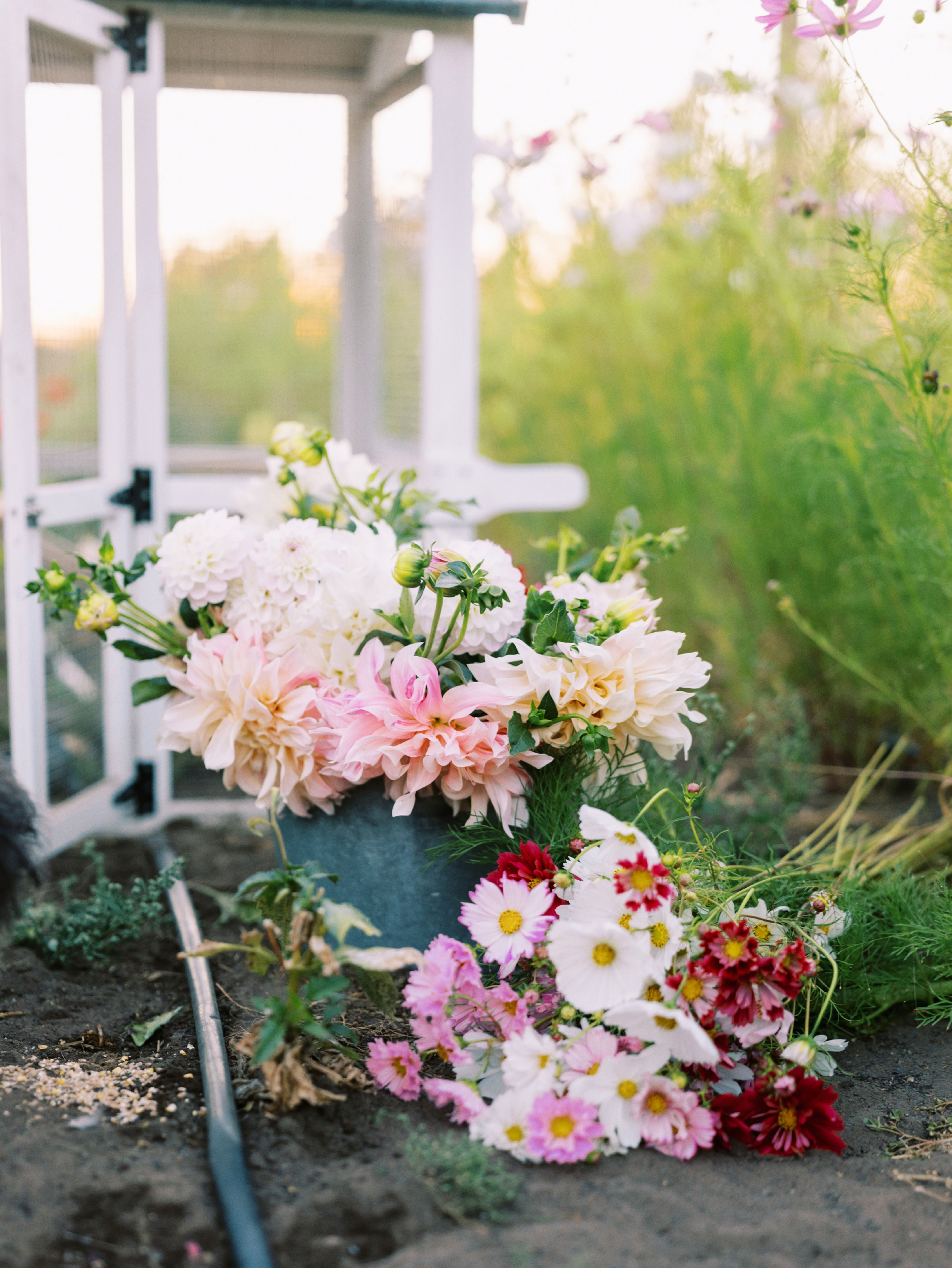 Farm Kid Flowers August Weekly Bouquet Subscription