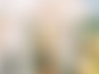 American Farmhouse Style Feature: Greenhouse She Shed