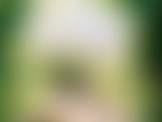 In the Garden: DIY Antique Headboard Gate