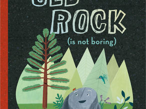 The History (and Pre-History) of Rocks