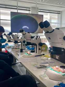 WhatsApp Image 2026-03-16 at 09.22.31 (11)