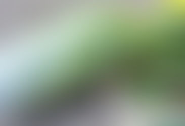 Grilled Napa Cabbage with Peanut Sauce