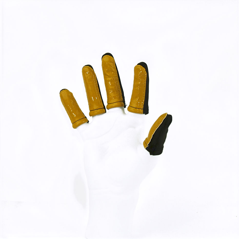 Gold Finger Jackets Everyday shown in picture.