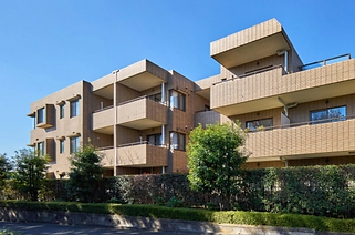 20150107_tamatebako_ec-670x443.jpg