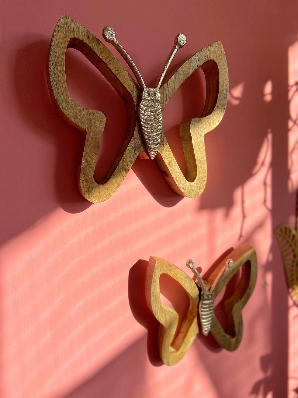Thumbnail: Two Butterflies on the Wall