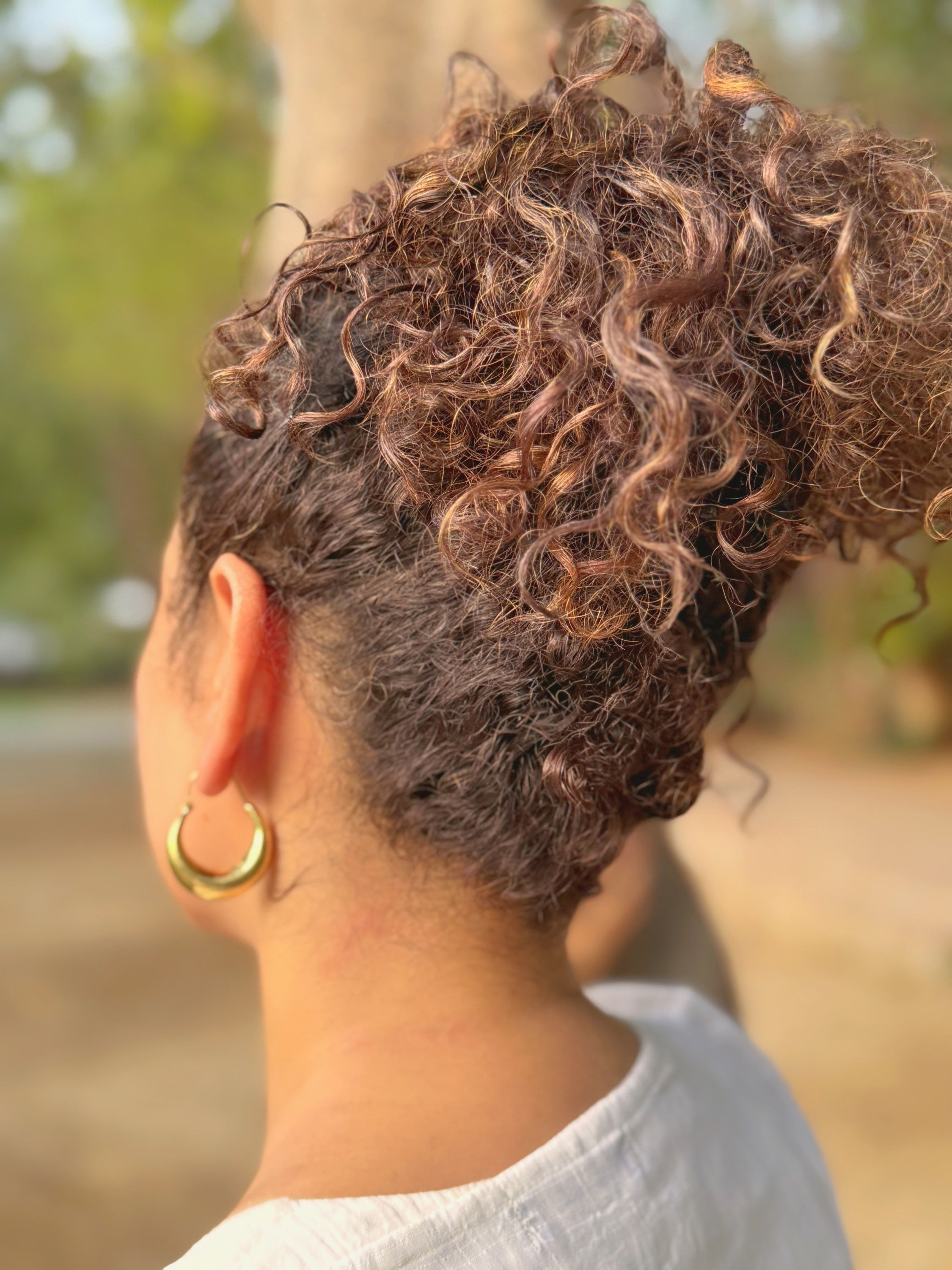 Everyday Elegance : Brass Basic Hoops Round 1.4'L