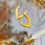 Thumbnail: Petal Gold Brass Finish Earrings
