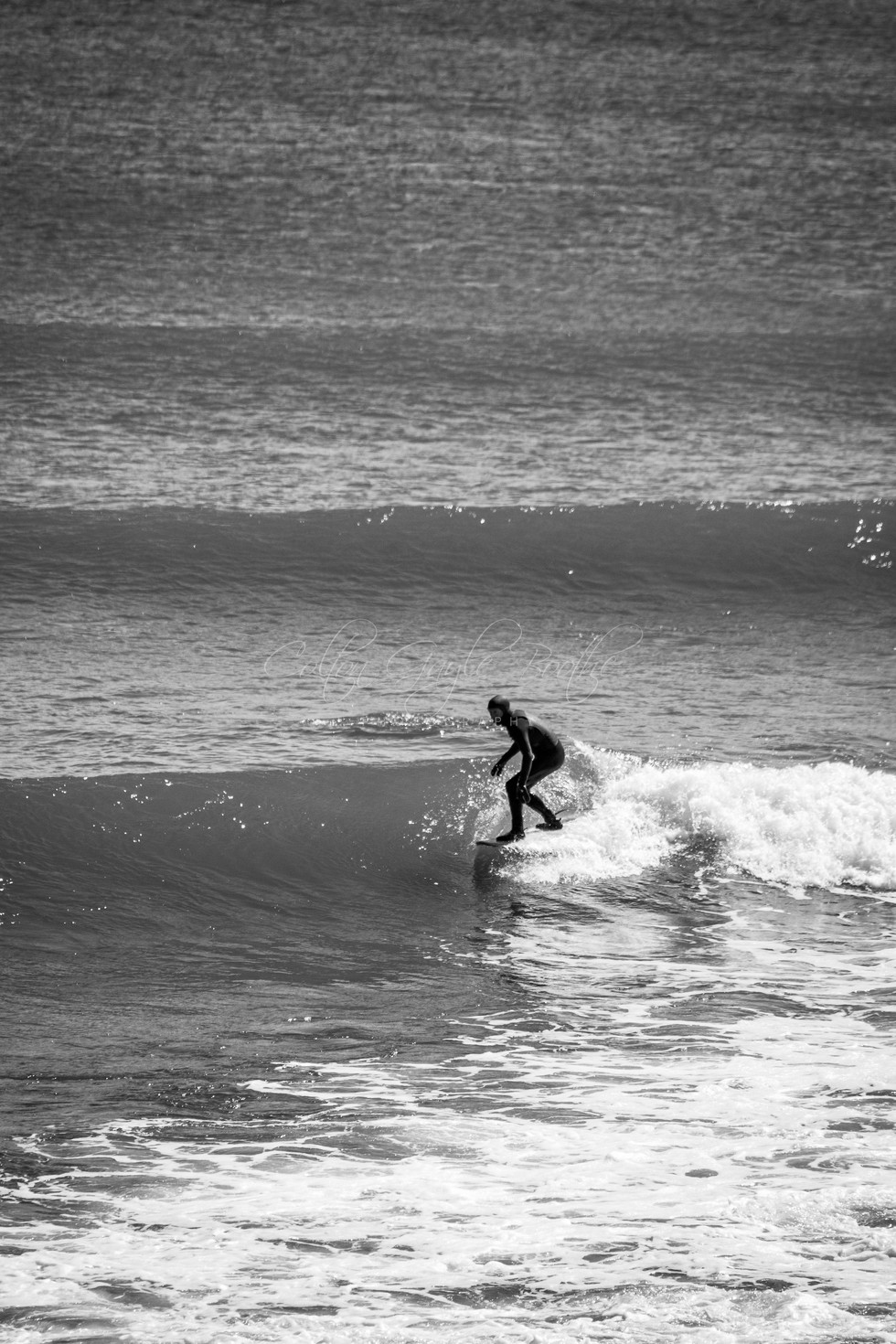 DSC_0394.jpg
