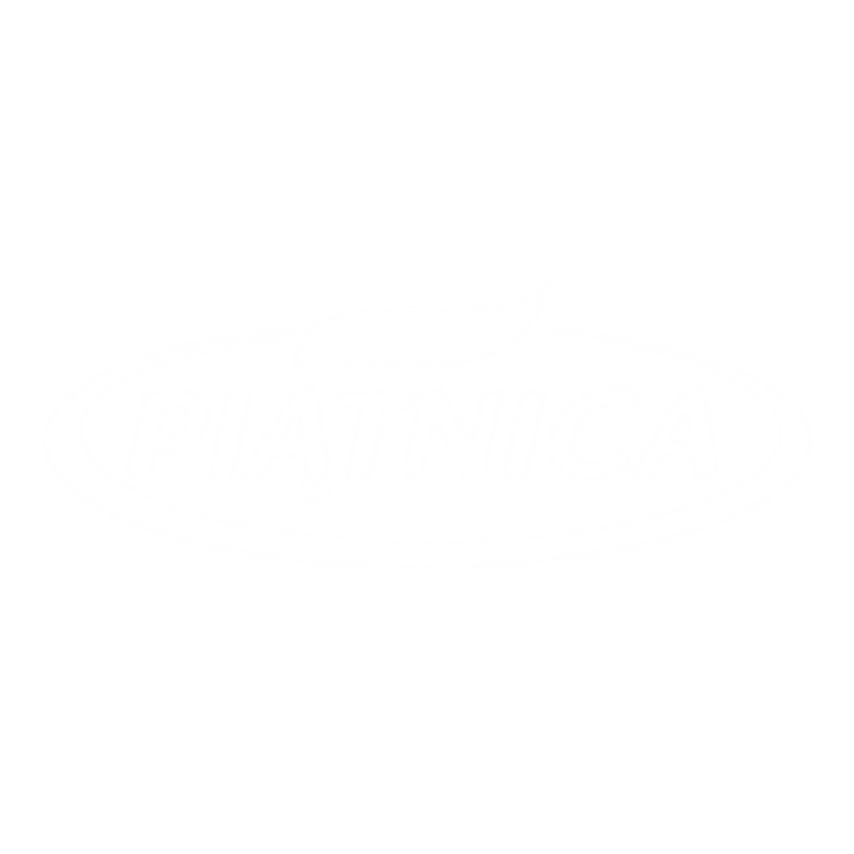 Piatnica minge.studio.png
