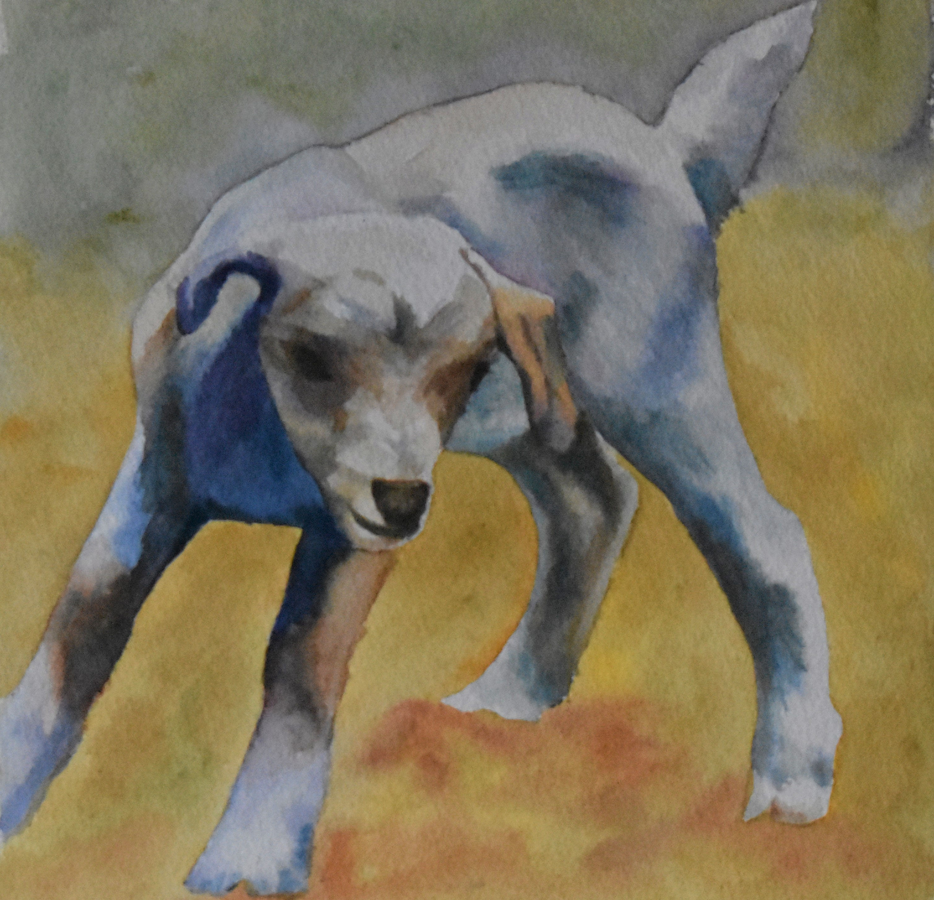 Who Are You Kidding?