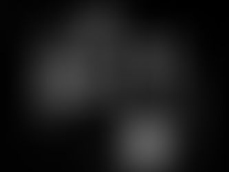 THE FACES AT THE WINDOW